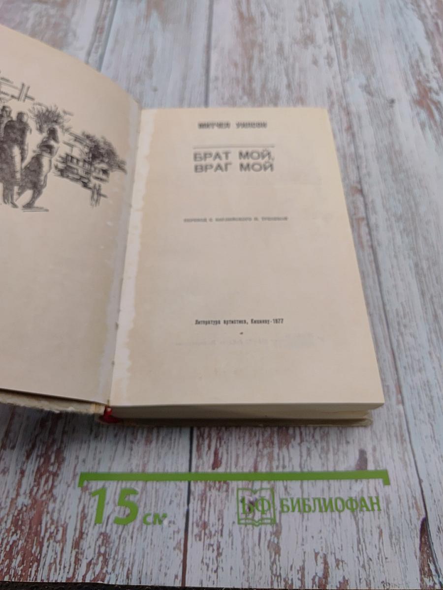 Брат мой, враг мой