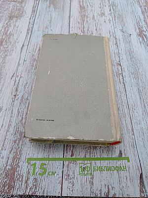 Брат мой, враг мой