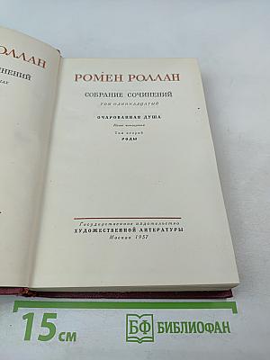 Очарованная душа. Книга четвертая. Провозвестница. Том второй. Роды