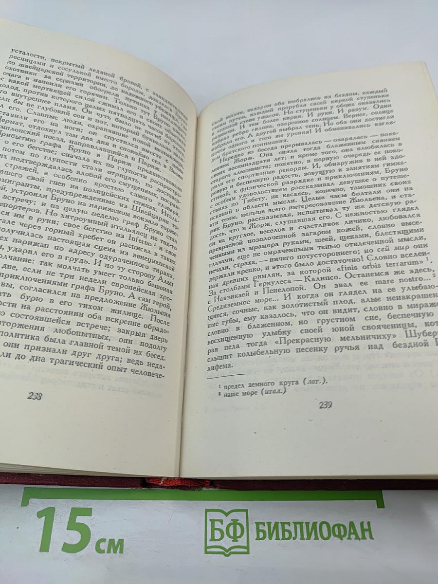 Очарованная душа. Книга четвертая. Провозвестница. Том второй. Роды
