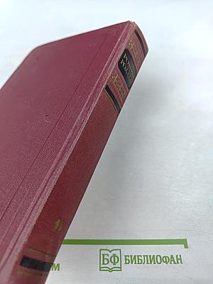 Очарованная душа. Книга четвертая. Провозвестница. Том второй. Роды