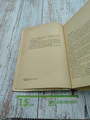 Русская литература 9 класс