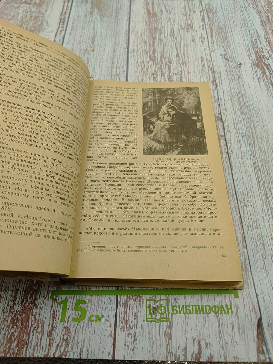 Русская литература 9 класс