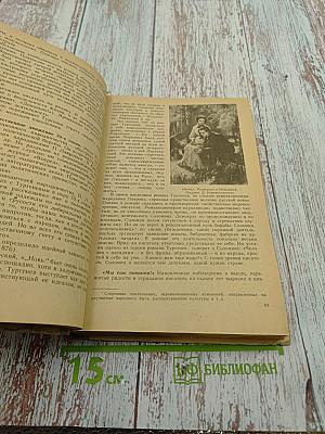 Русская литература 9 класс