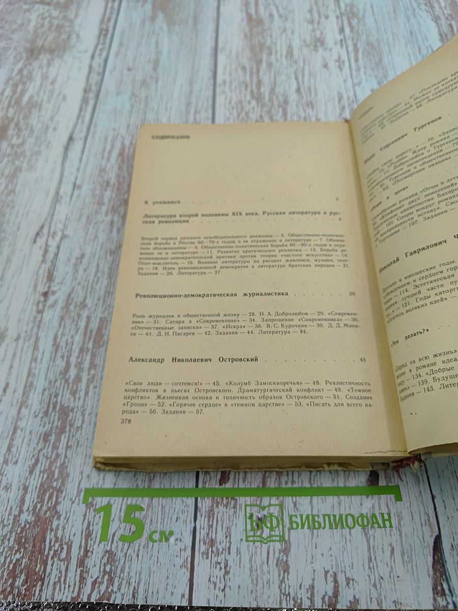 Русская литература 9 класс