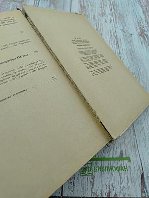 Русская литература 9 класс