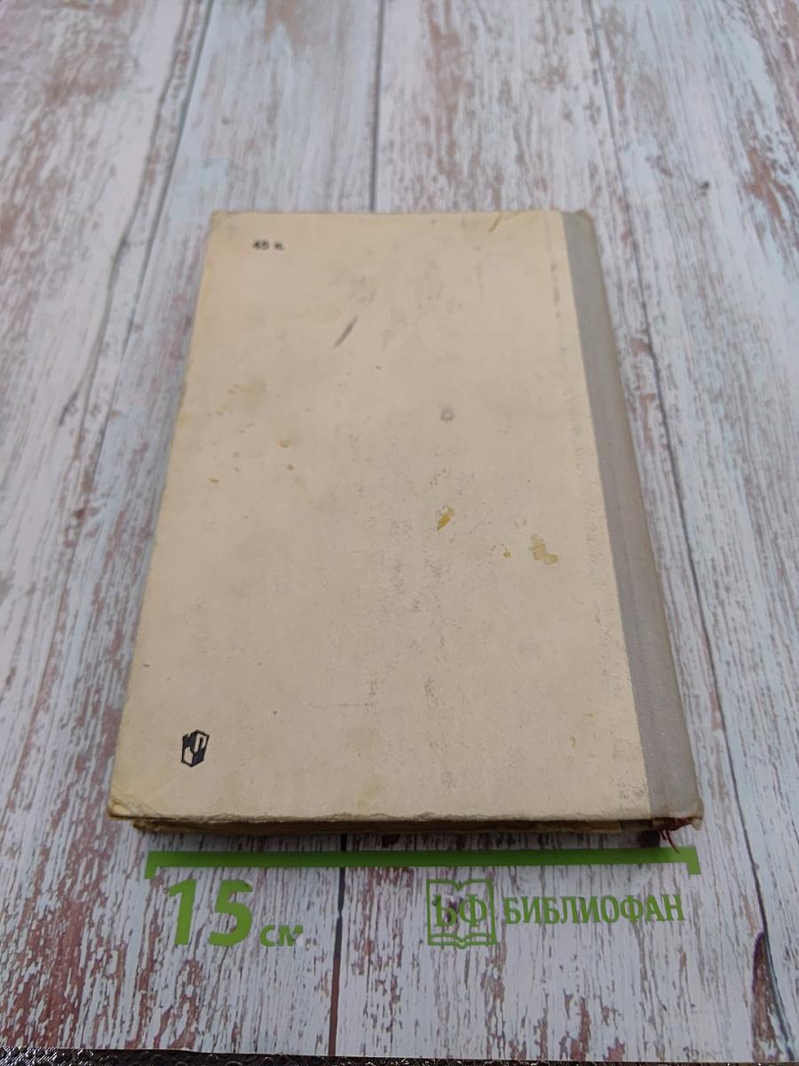 Русская литература 9 класс