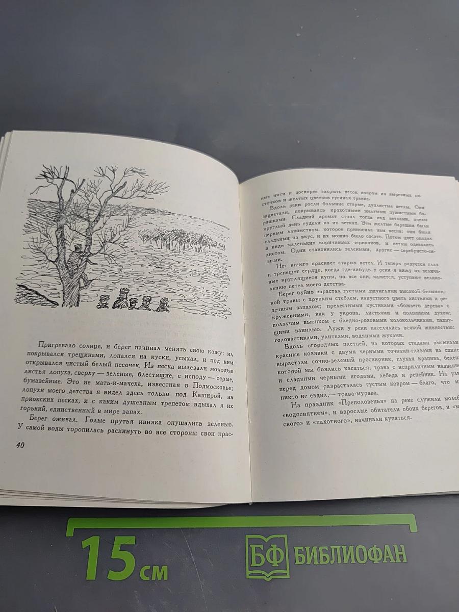 Круг царя Соломона. Страницы былого