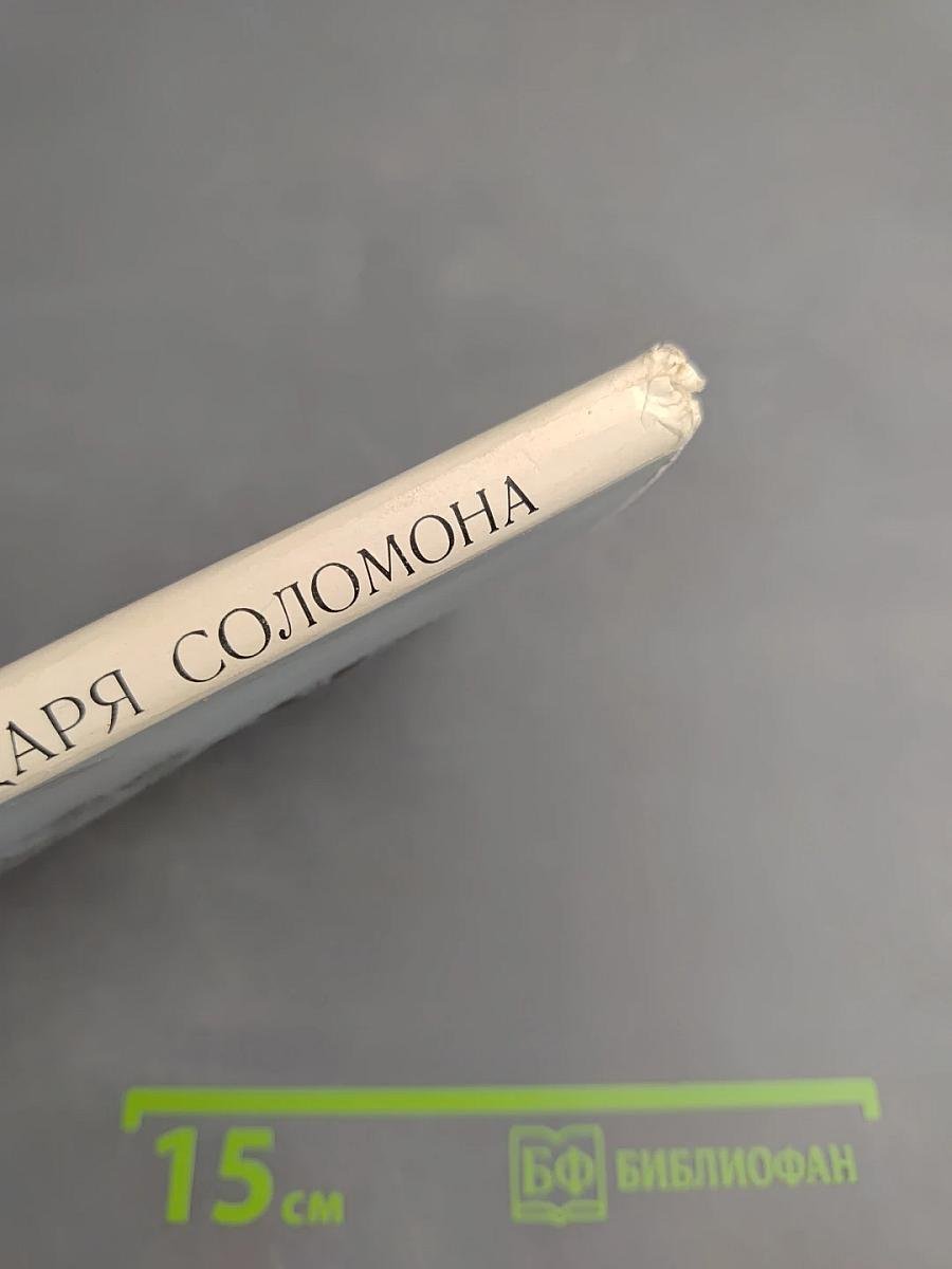 Круг царя Соломона. Страницы былого