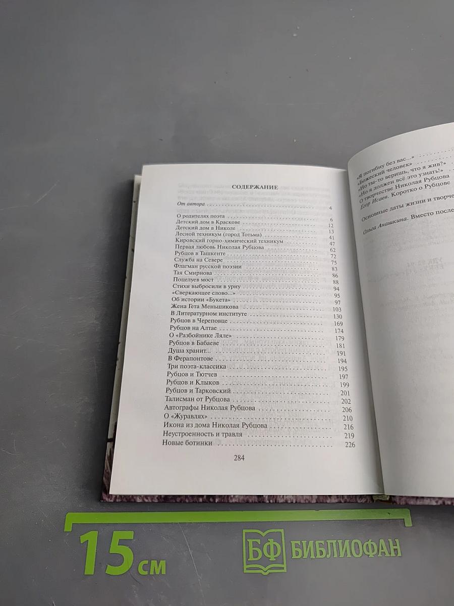 Душа хранит... Николай Рубцов. Малоизвестные страницы биографии