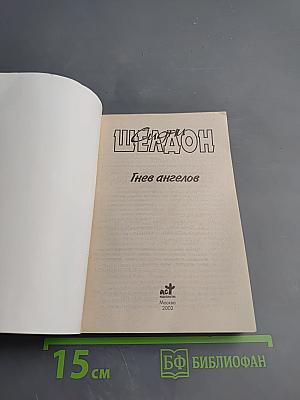 Гнев ангелов