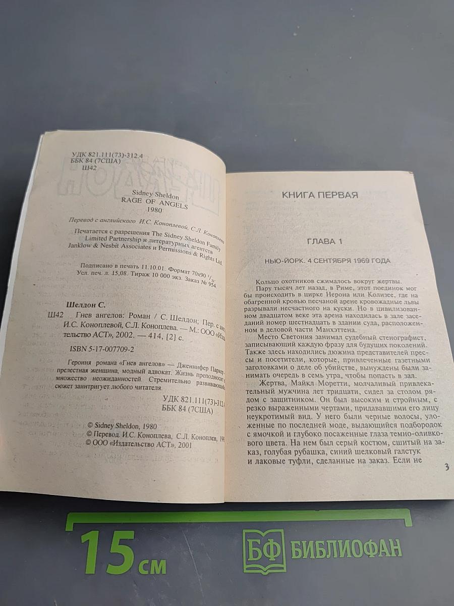 Гнев ангелов