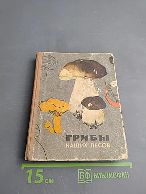 Грибы наших лесов