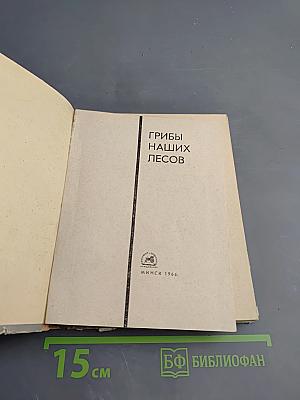 Грибы наших лесов