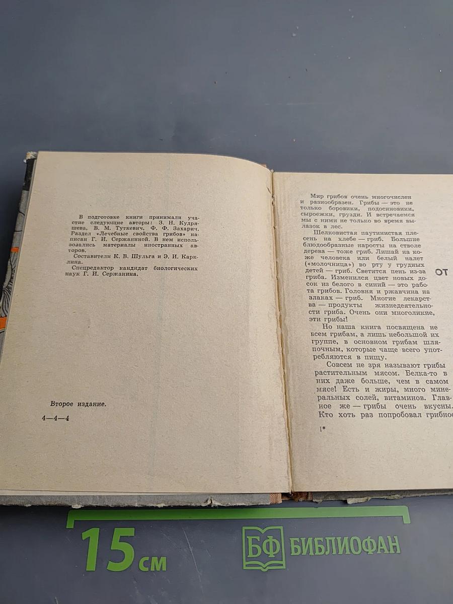 Грибы наших лесов