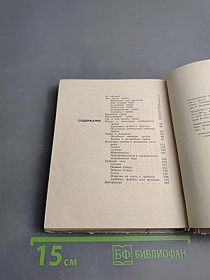 Грибы наших лесов