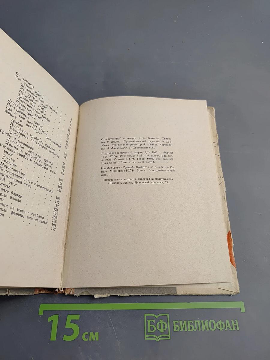 Грибы наших лесов