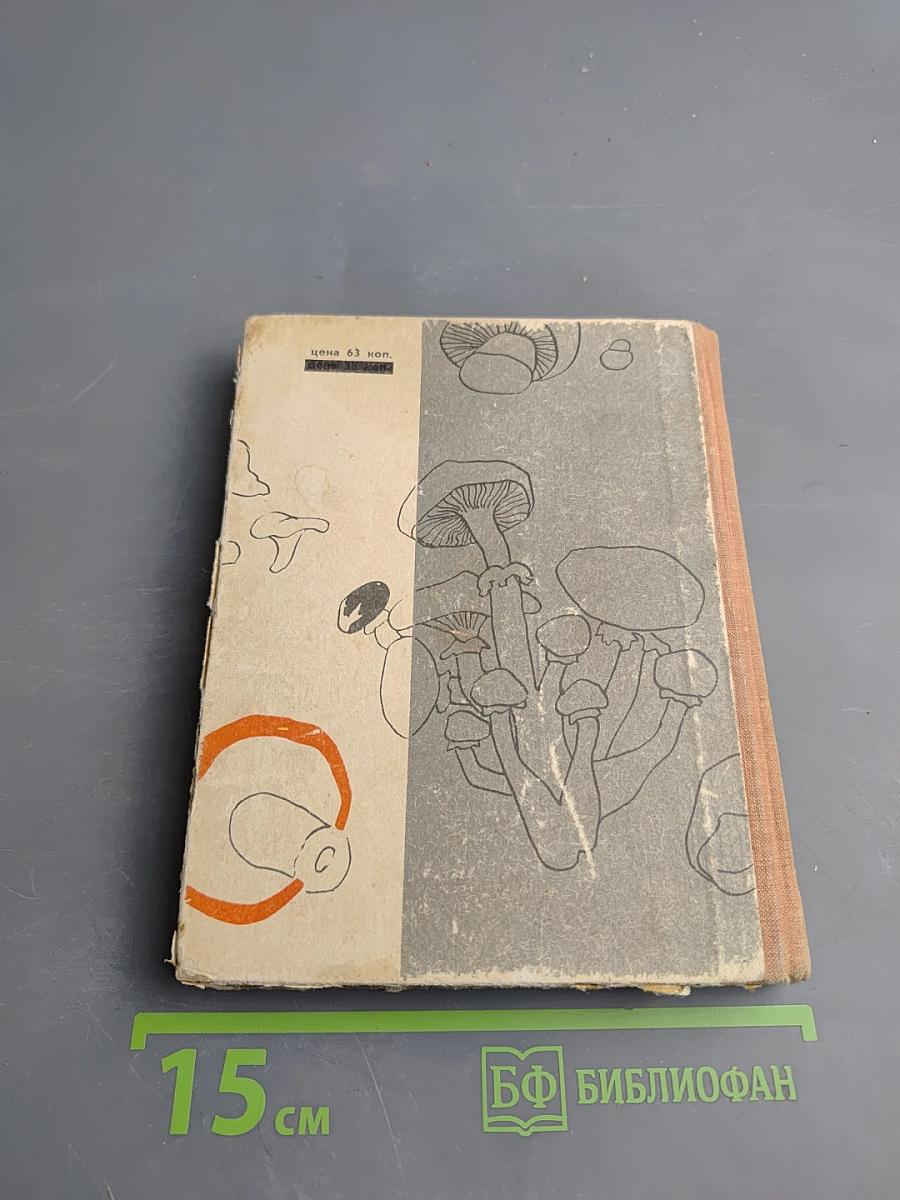 Грибы наших лесов