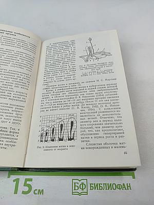 Гинекологическая эндокринология девочек и девушек
