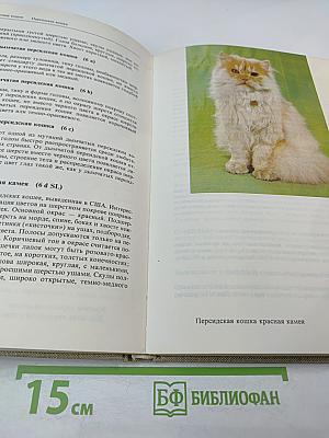 Атлас пород кошек