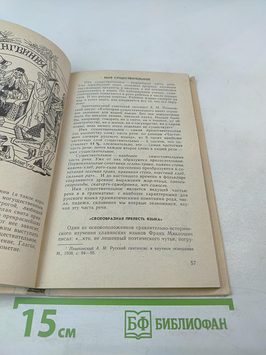 Занимательно о русском языке