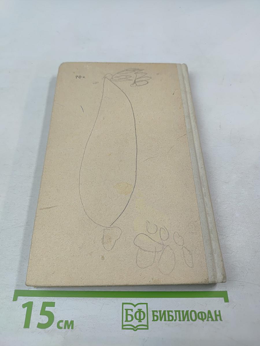 Занимательно о русском языке