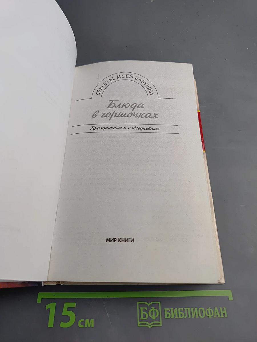 Блюда в горшочках. Праздничные и повседневные