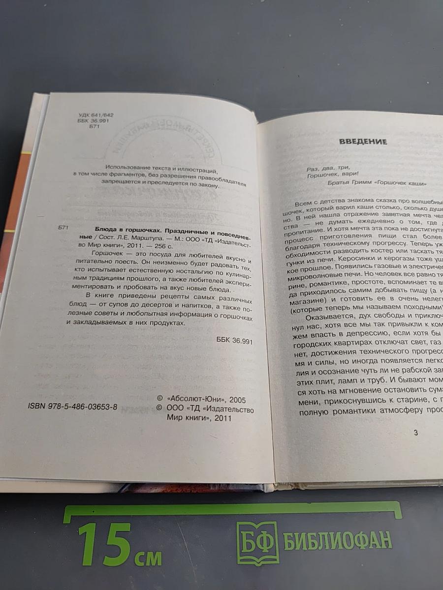 Блюда в горшочках. Праздничные и повседневные
