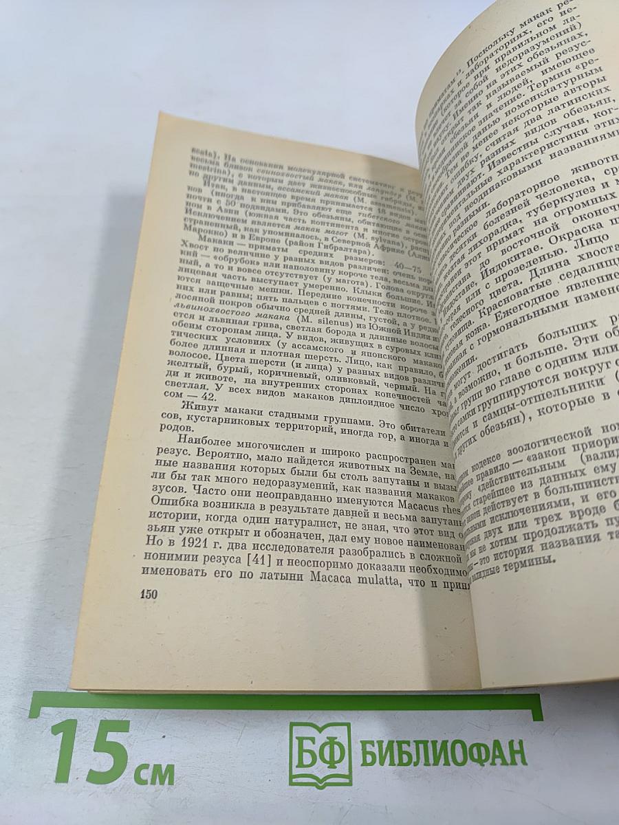 Приматы. Современные полуобезьяны, обезьяны и человек