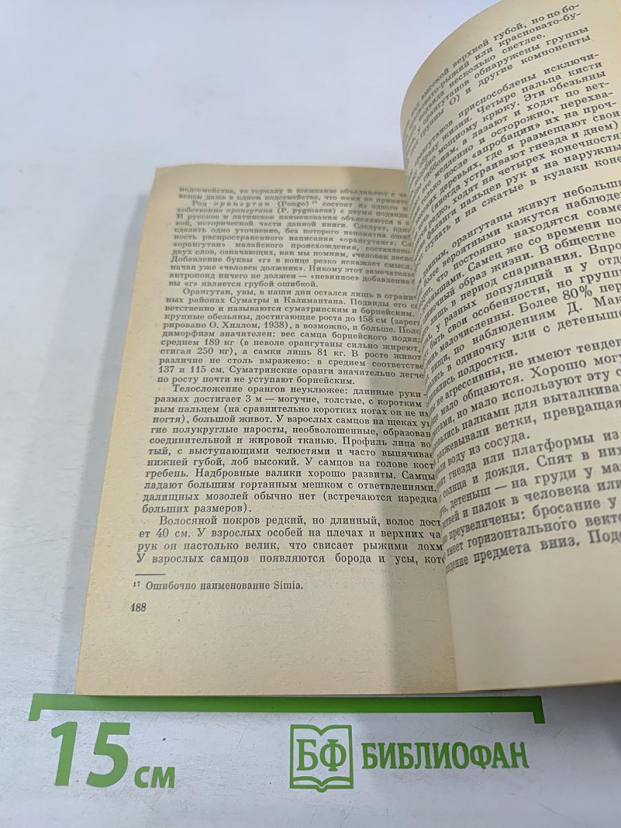 Приматы. Современные полуобезьяны, обезьяны и человек