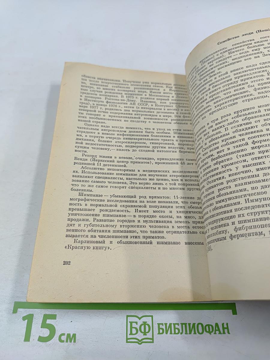 Приматы. Современные полуобезьяны, обезьяны и человек