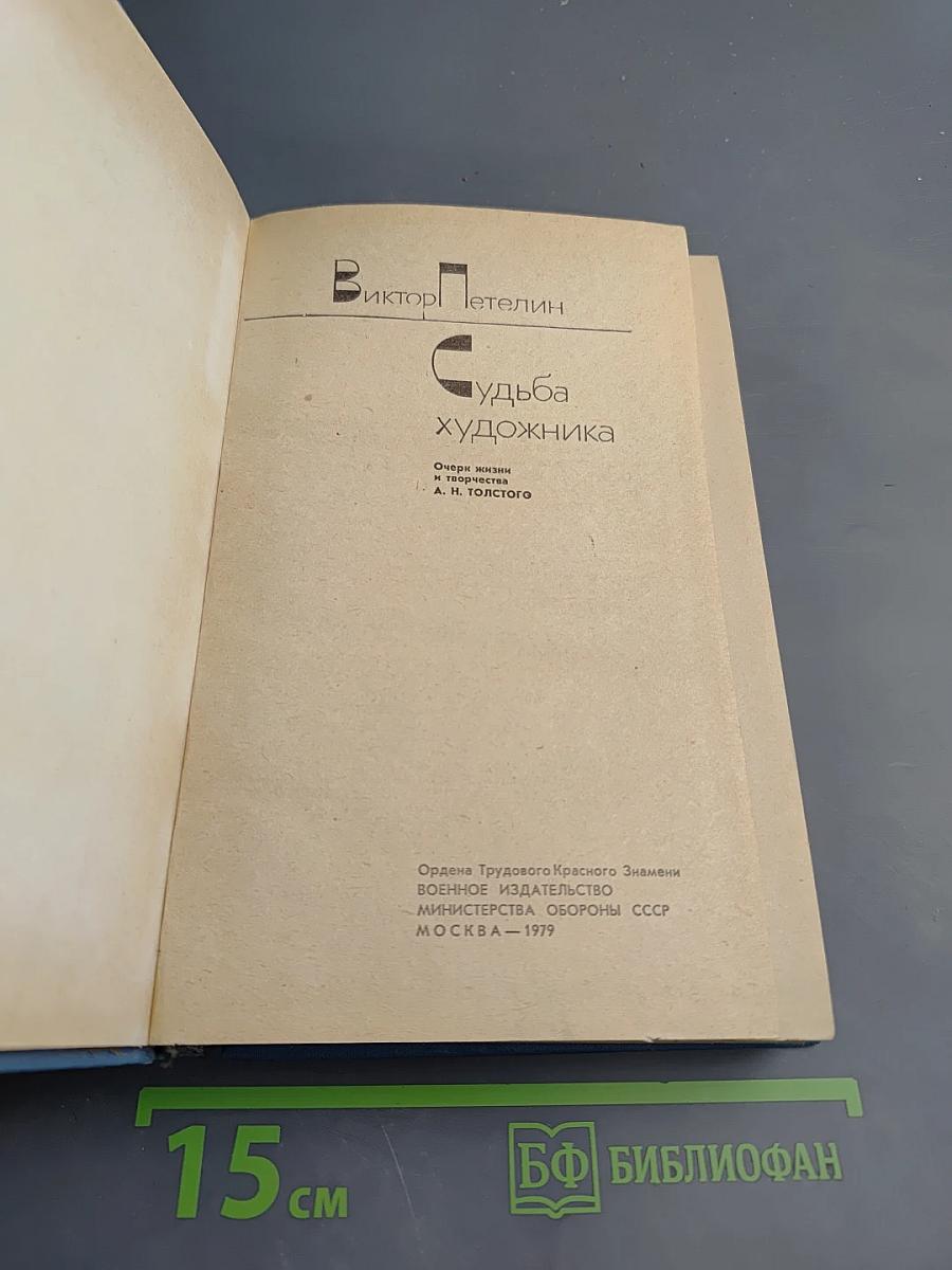 Судьба художника