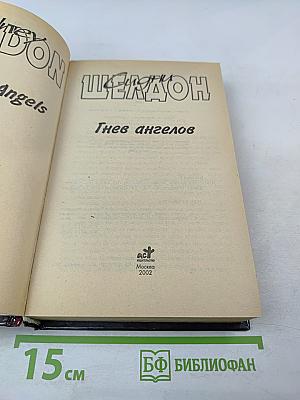 Гнев ангелов