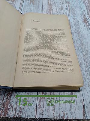 Акушерство