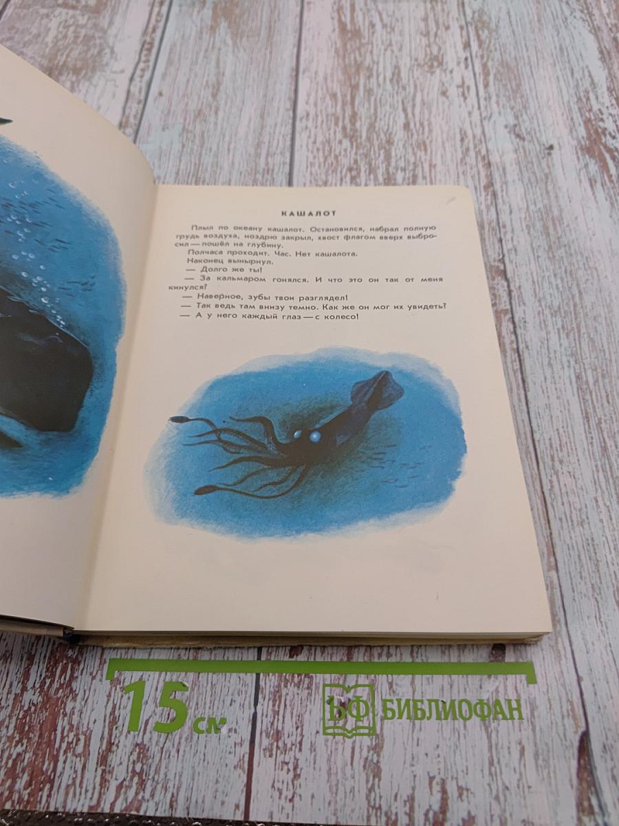 Разноцветное море