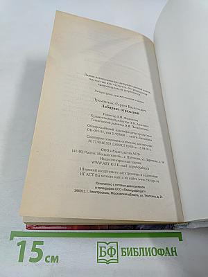 Лабиринт отражений