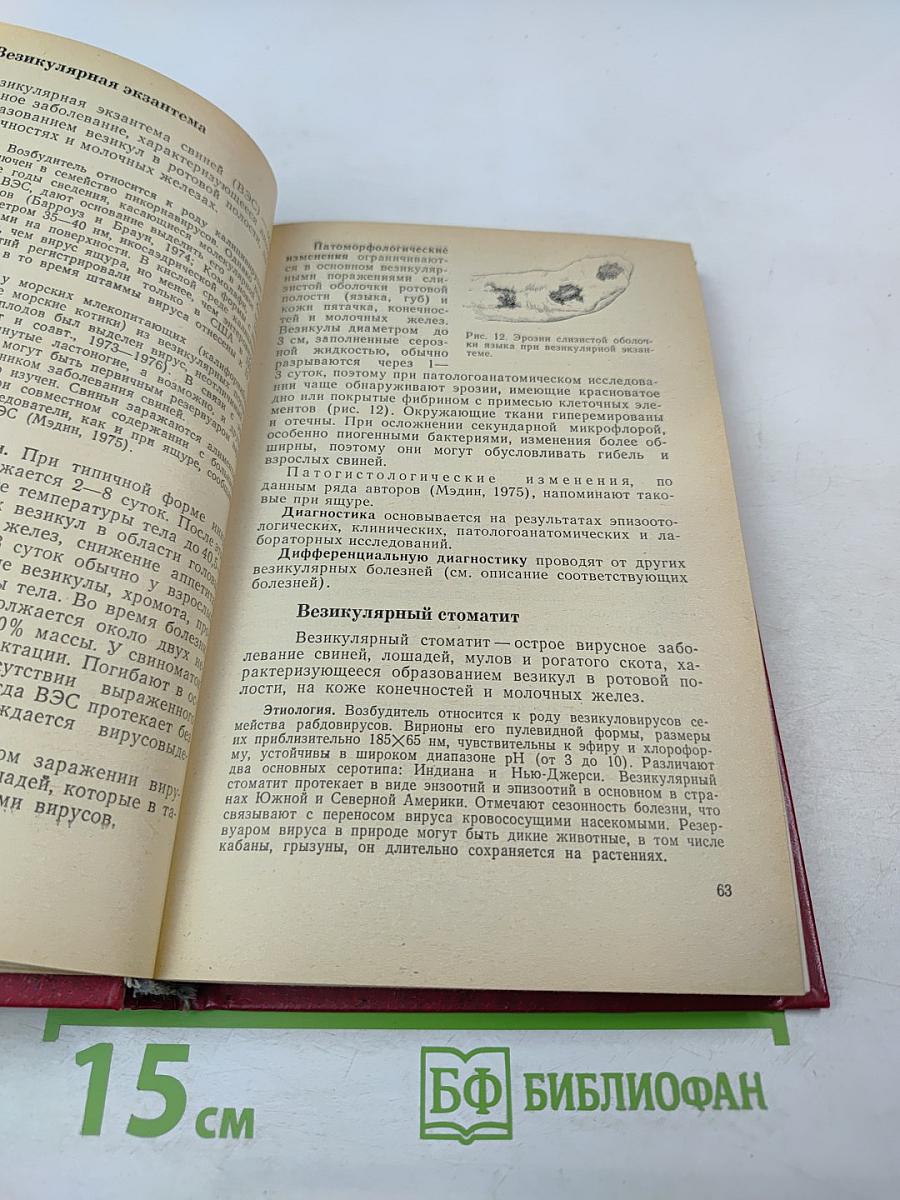 Патолого-анатомическая диагностика болезней свиней