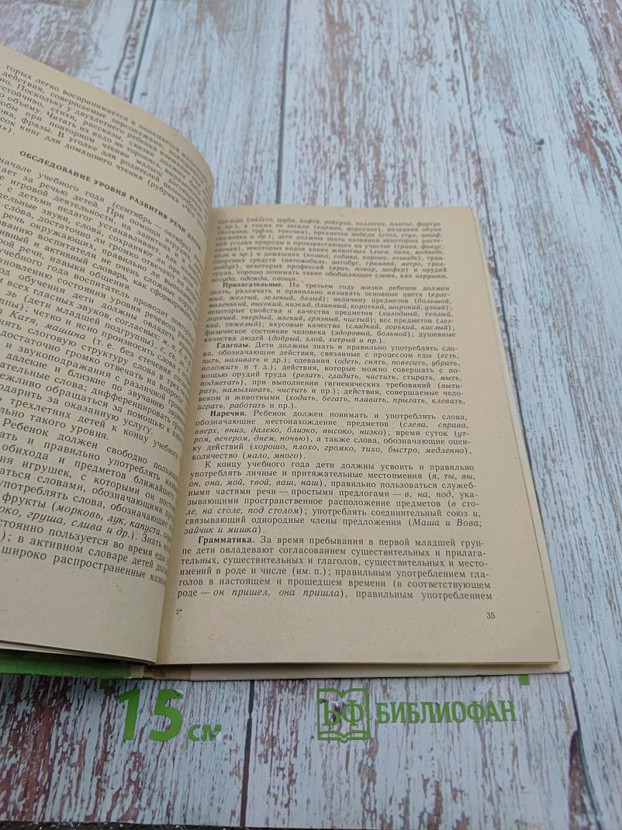 Занятия по развитию речи в первой младшей группе детского сада