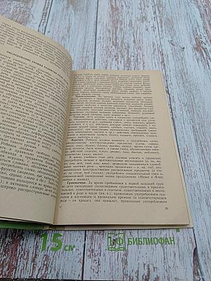 Занятия по развитию речи в первой младшей группе детского сада