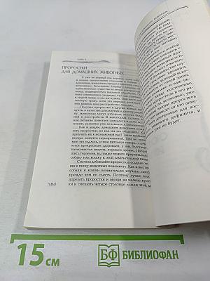 Проростки – пища жизни