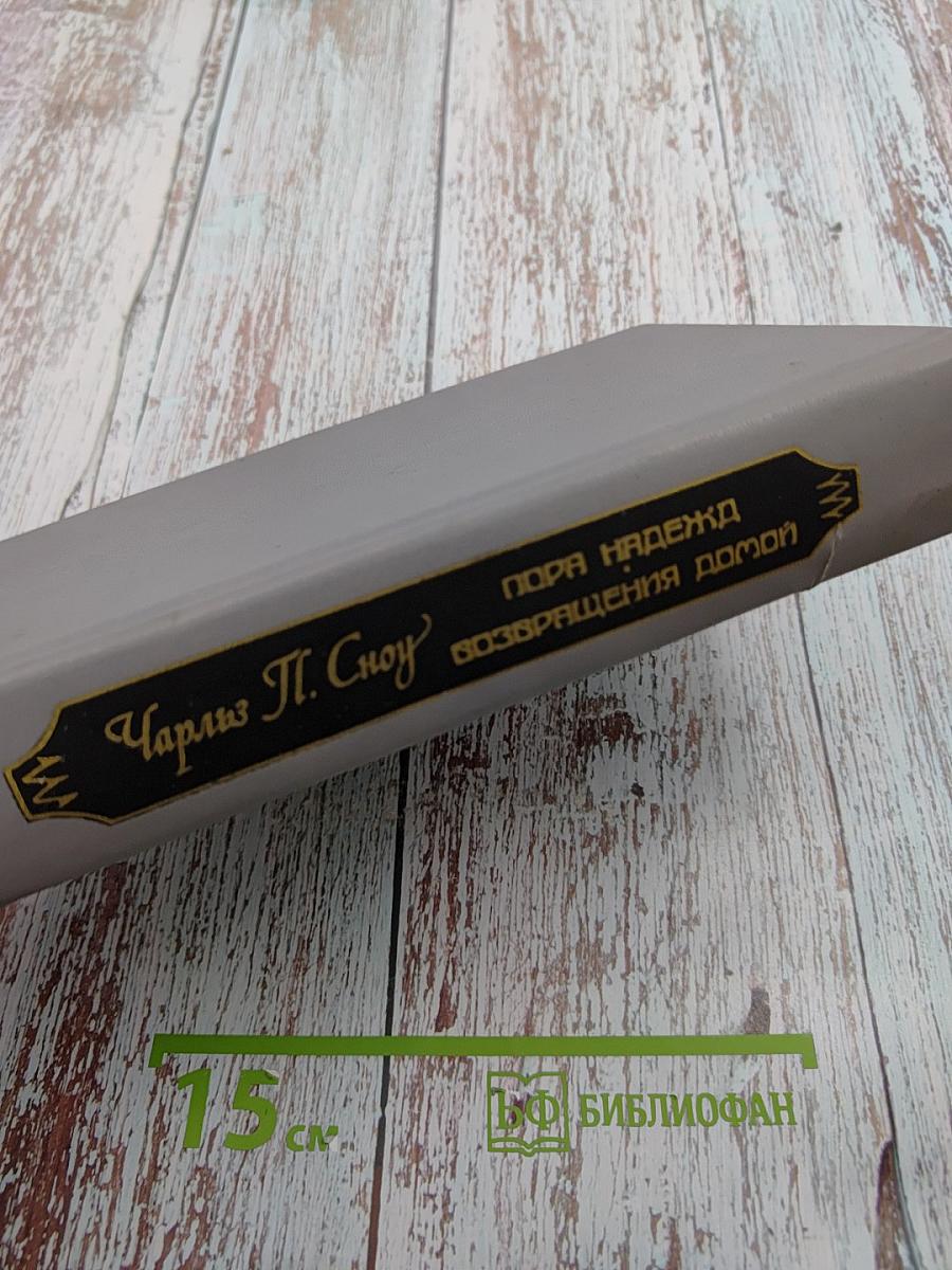 Пора надежд. Возвращение домой