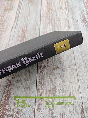 Собрание сочинений в семи томах. Том седьмой