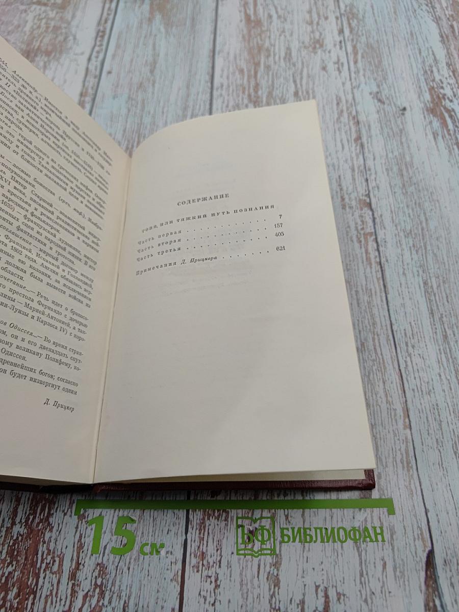 Гойя или тяжкий путь познания