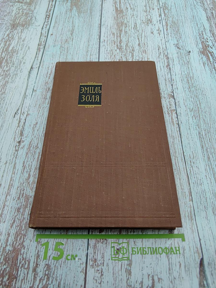 Эмиль Золя. Том 3. Завоевание Плассана