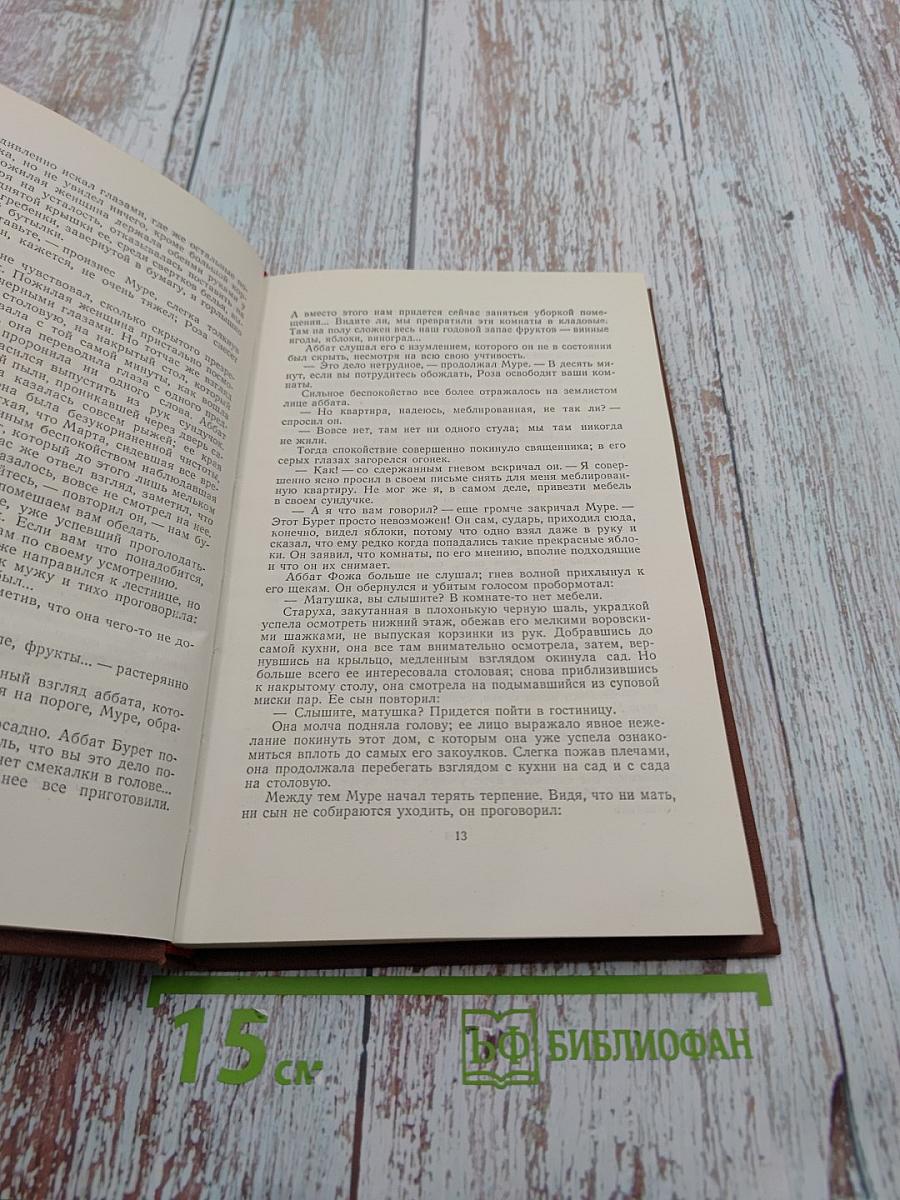 Эмиль Золя. Том 3. Завоевание Плассана