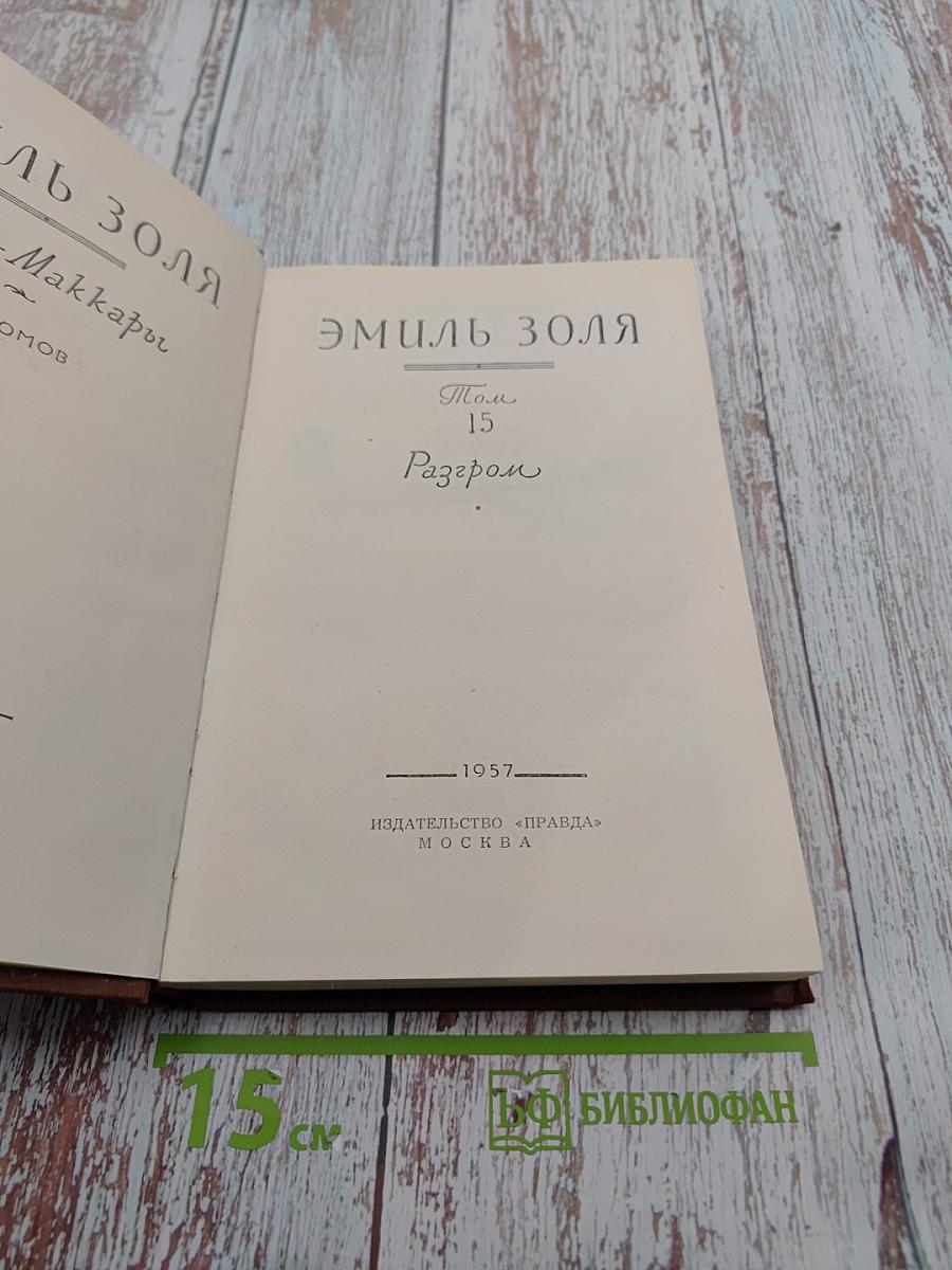 Разгром. Том 15