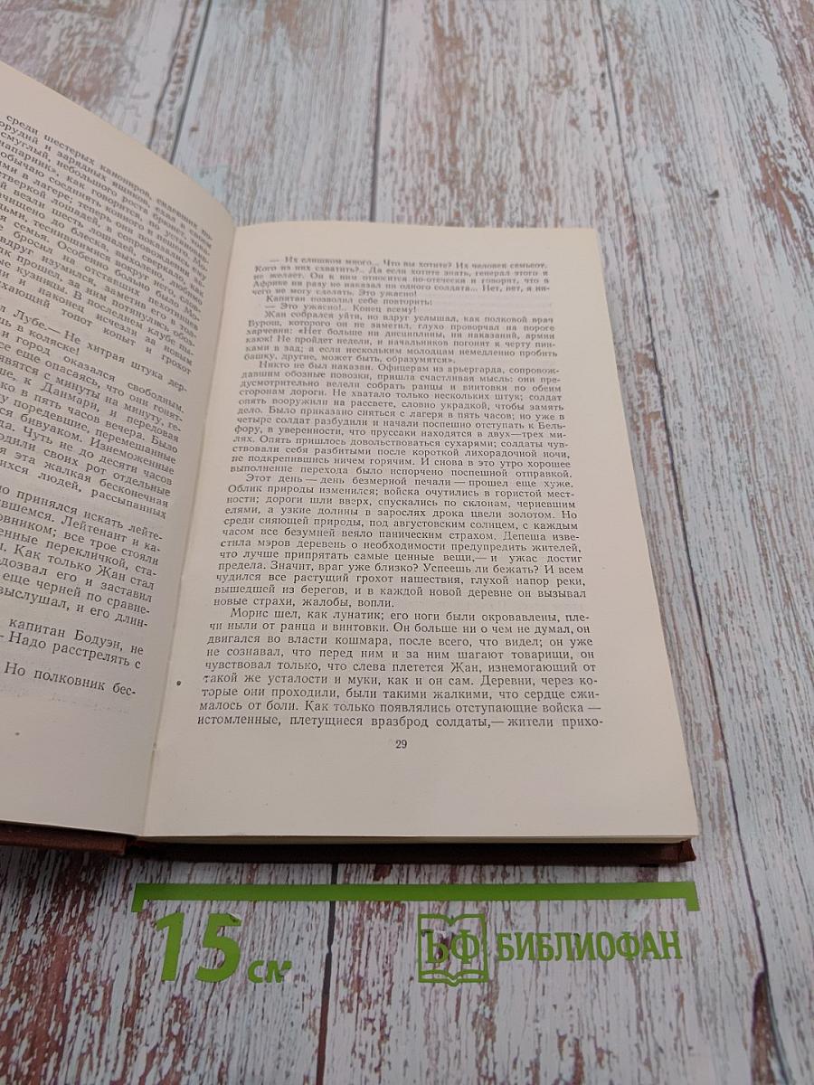 Разгром. Том 15