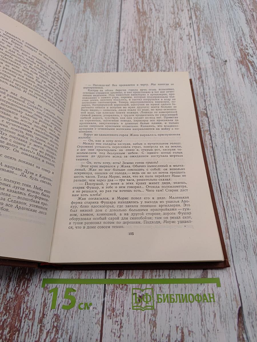 Разгром. Том 15