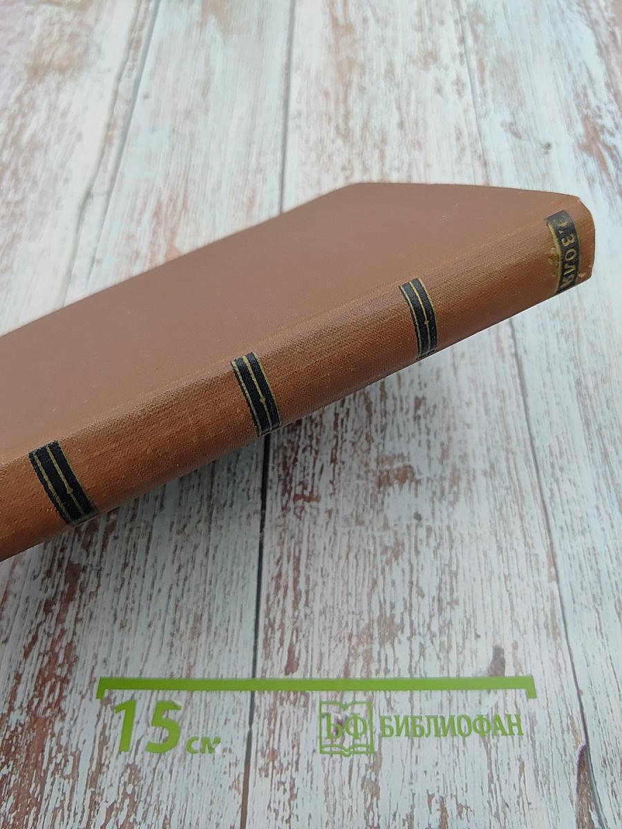 Разгром. Том 15