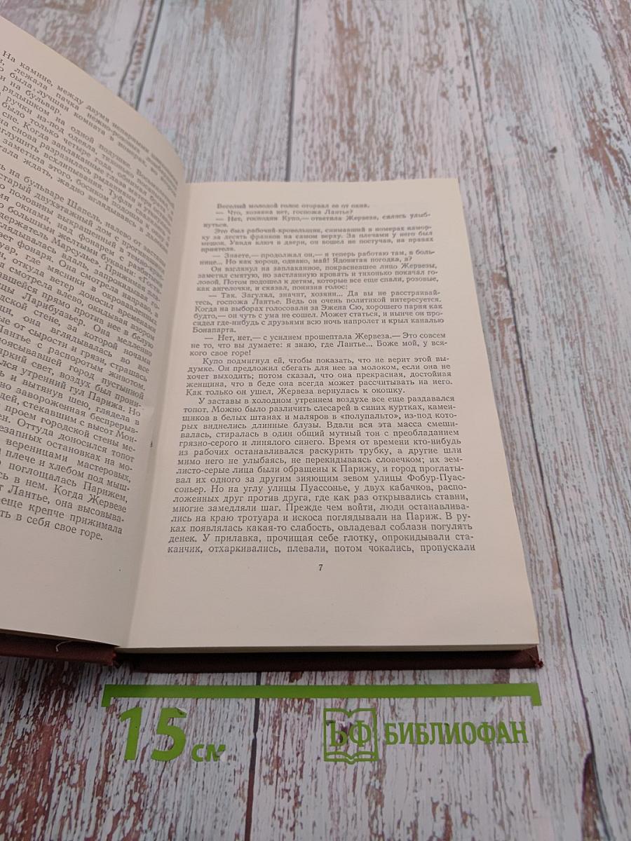 Западня. Том 6